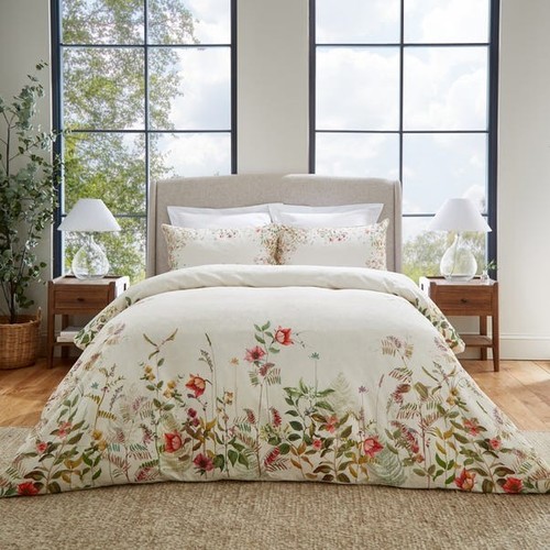 Dorma rambling rose 100 - ,